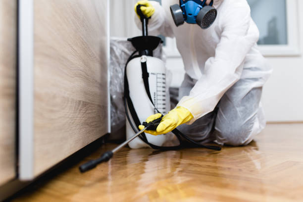 Best Insect Control  in Memphis, MO