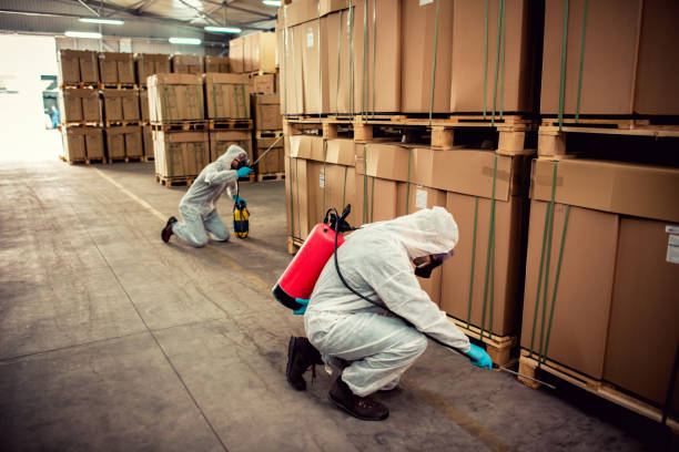 Best Pest Prevention Services  in Memphis, MO