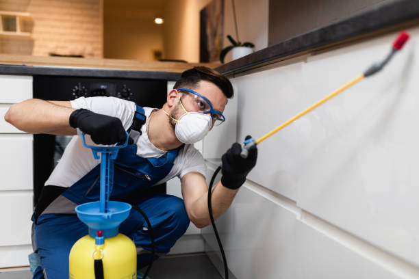 Best Cockroach Control Services  in Memphis, MO