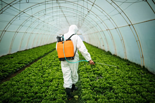 Best Commercial Pest Control Services  in Memphis, MO