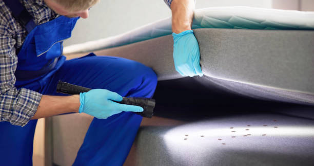 Best Residential Pest Control  in Memphis, MO