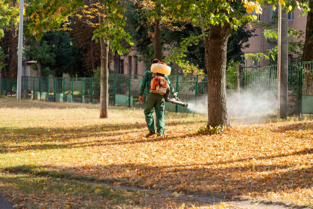 Best Insect Control  in Memphis, MO