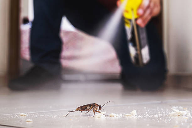 Best Affordable Exterminators  in Memphis, MO